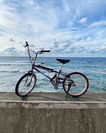 BLUE STEAK WONDER CHATAN