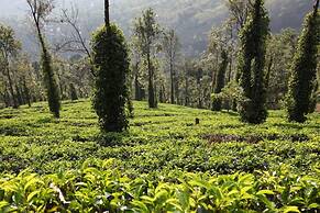 Explore Central Srilanka