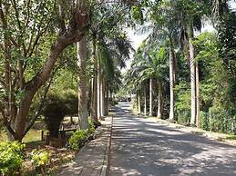 Explore Central Srilanka