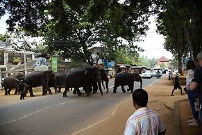 Explore Central Srilanka