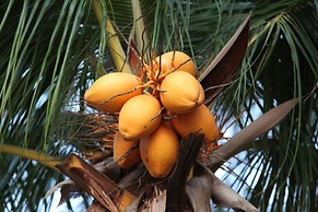 Explore Central Srilanka