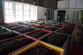 Explore Central Srilanka