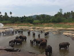 Explore Central Srilanka