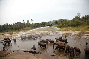 Explore Central Srilanka