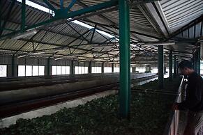 Explore Central Srilanka