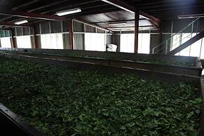 Explore Central Srilanka