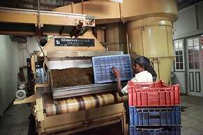 Explore Central Srilanka