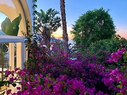 Clifton YOLO Spaces – Clifton Boutique Apartments