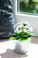 Apartments Warsaw Odolańska by Renters