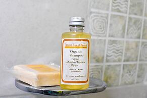 Room-cancun Guest House 5