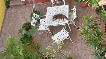 Room in B&B - Cancun Guest House 6
