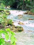 Room in Lodge - Sierraverde Cabin 
