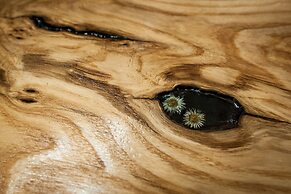 Domki Narciarskie Zakopane