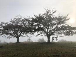Fukunae House - Hostel