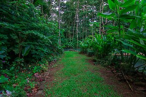 Santuario de Ranas Valle Azul