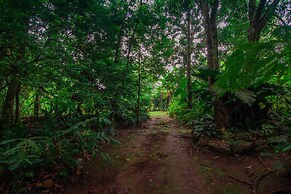 Santuario de Ranas Valle Azul