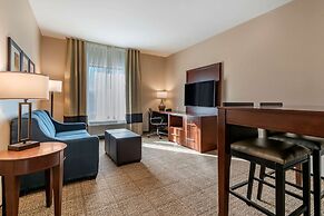 Comfort Suites Camp Hill-Harrisburg West