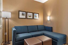 Comfort Suites Camp Hill-Harrisburg West
