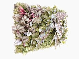 OUCHI HOTEL Miyajimaguchi