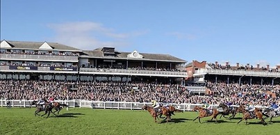 Stunning 2-bed Cottage Countryside Outside Ayr