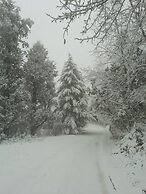 juSTa Mukteshwar Retreat & Spa