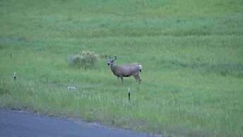 Amazing Sunsets, Biking, Boating and More at The Horsetooth Stoop!