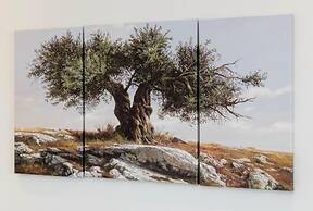 Xenios Dias Apartments