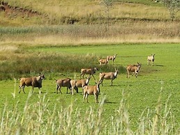 Elandskloof Trout Farm