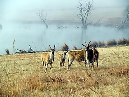 Elandskloof Trout Farm