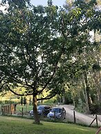 Apartamentos Las Garzas de Oyambre