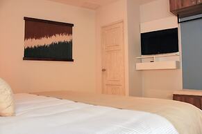 Singular Dream by Spot Rentals