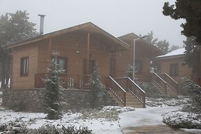 Bağbaşı Yaylası Bungalov Evleri