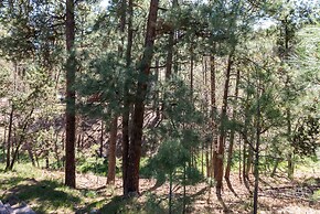 Alto Pines