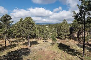 Christi and Don's Nuthouse