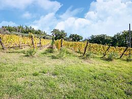 Belvilla by OYO Villa Capannina