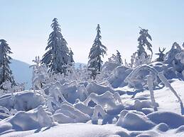 Apartment in Malsburg With Garden