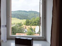 Apartment in Malsburg With Garden