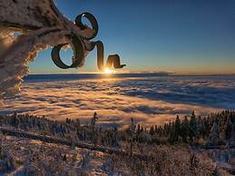 Apartment in Malsburg With Garden