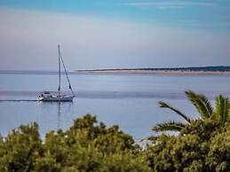 Pretty Apartment in Mandre With Barbecue