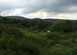 Splendid Holiday Home in Orciatico with Hot Tub & Pool