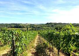 Splendid Holiday Home in Orciatico with Hot Tub & Pool