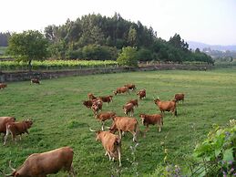 Holiday Home in Ponte de Lima With Pool