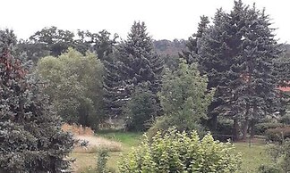 Beautiful Apartment in Blankenburg With Sauna