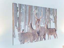 Valley View Apartment in Kirchberg in Tyrol near Skiing Area