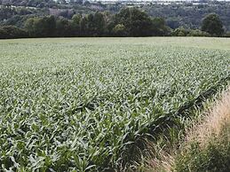 Chalet in Barvaux-sur-ourthe With Sauna