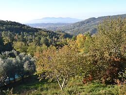 Holiday Home in Pescia With Swimming Pool