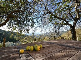 Holiday Home in Pescia With Swimming Pool