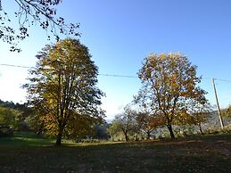 Holiday Home in Pescia With Swimming Pool