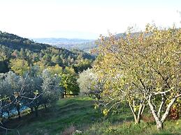 Holiday Home in Pescia With Swimming Pool
