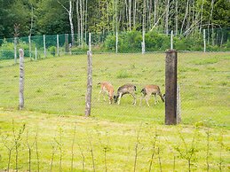 Chalet in Rogery With Garden
